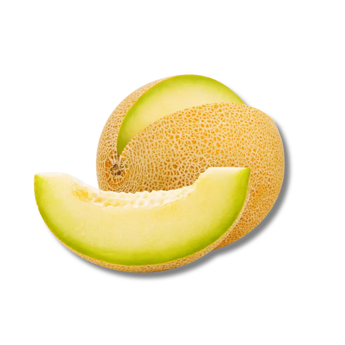 Melón Galia sobre fondo blanco - proveedor mayorista de frutas de verano Verde Levante, melón, sandía, uva de mesa y kaki